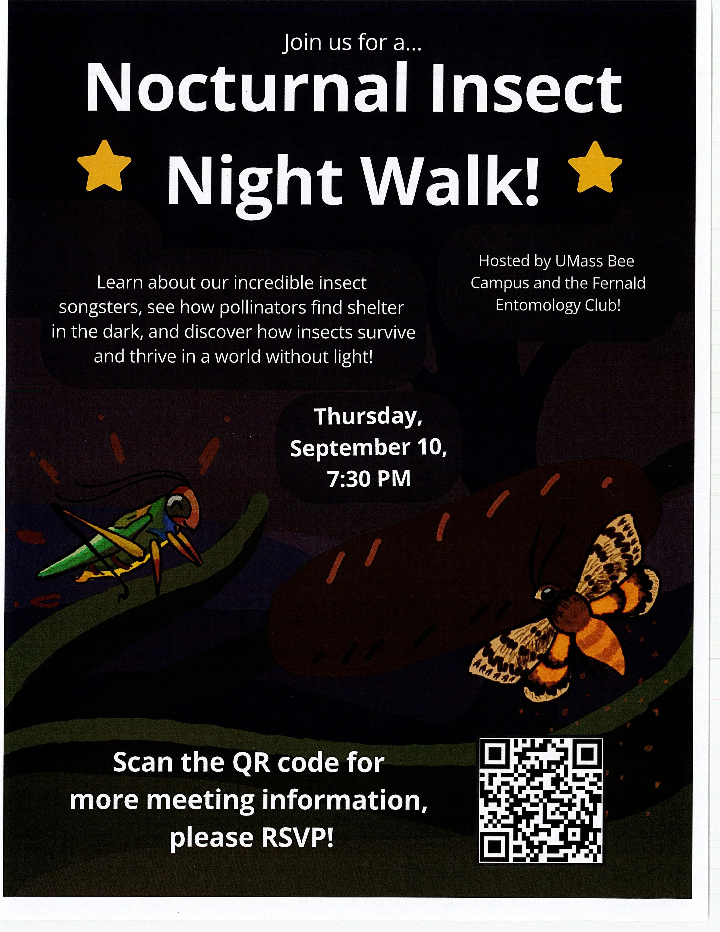 Sharing News | Nocturnal Insect Night Walk 