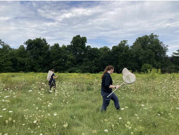 Meet the Pollinators of the Kinney Center