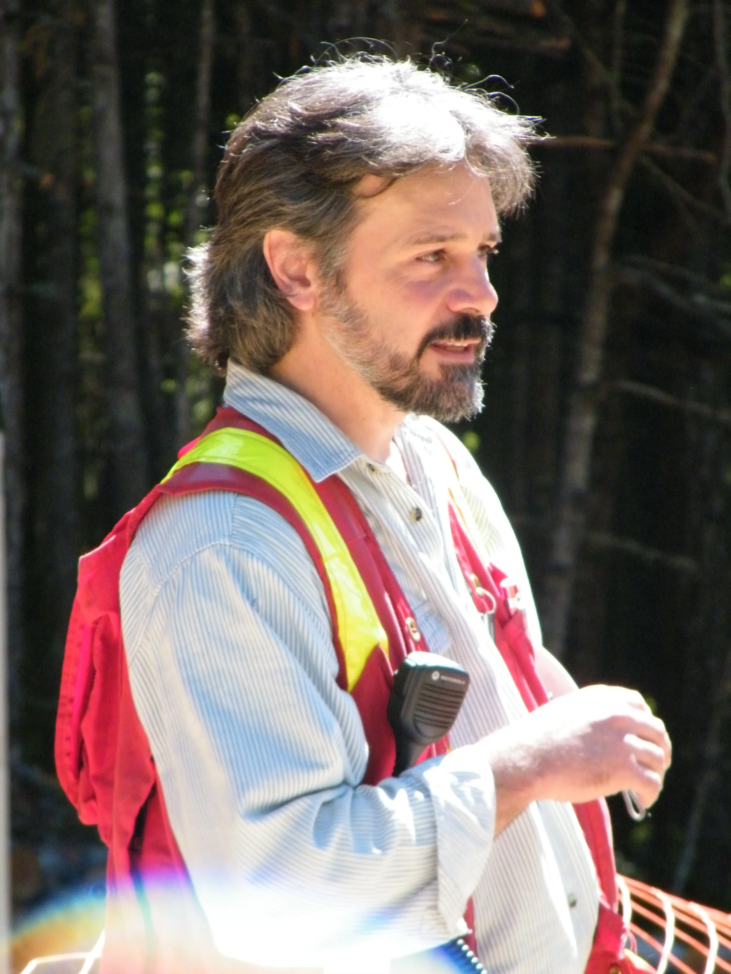 Timber specialist Gordon Macdonald came up with the winning proposal for the Kinsol's rehabilitation not replication.