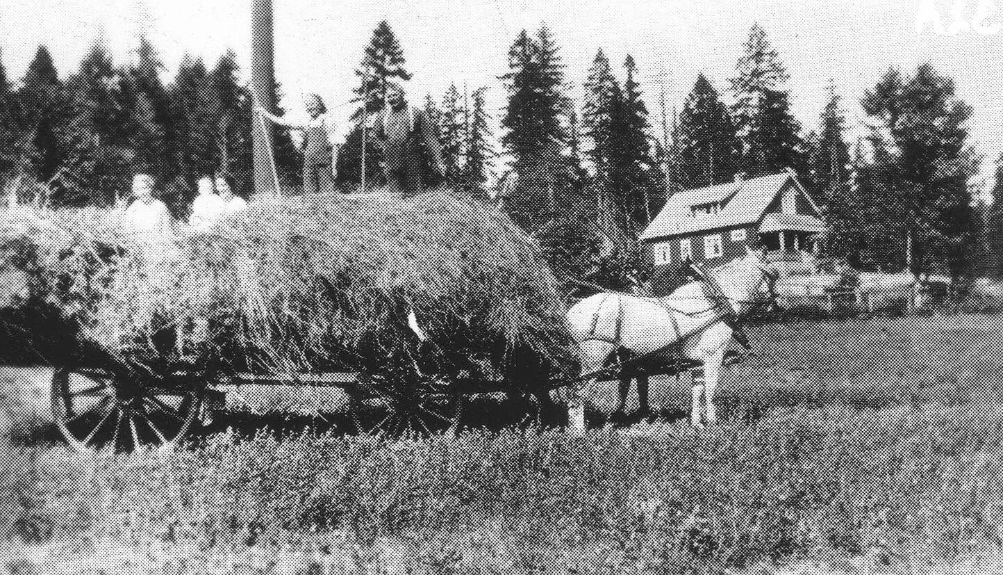 Pioneer Days in the Cowichan Valley (Part 2)