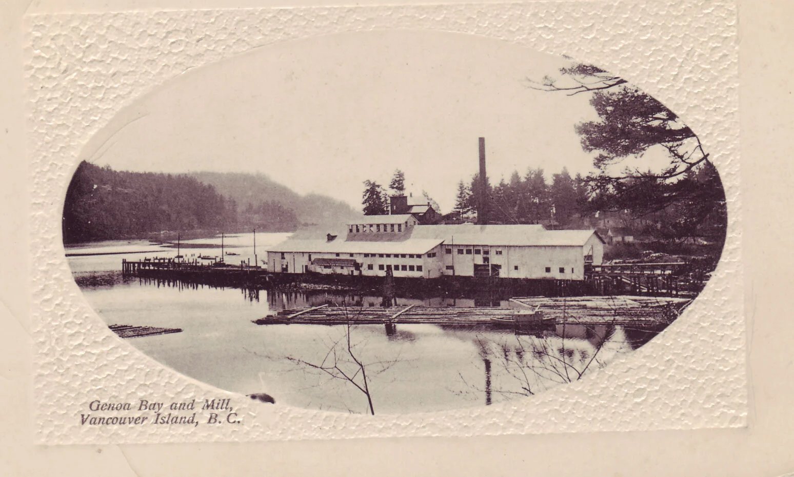 The Cameron sawmill at Genoa Bay was busy, having just shipped 1.2 million feet of lumber to South Africa and 150,000 feet to "eastern points".