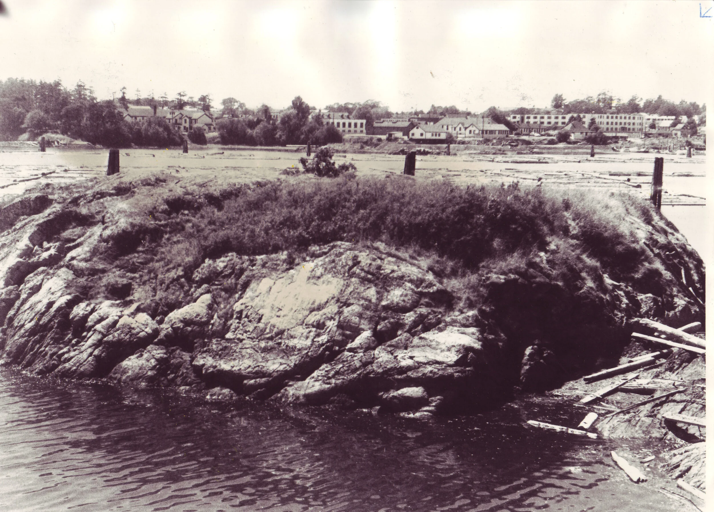Deadman's Island, Sellkirk Arm, Victoria, as it appeared in the 1990s.