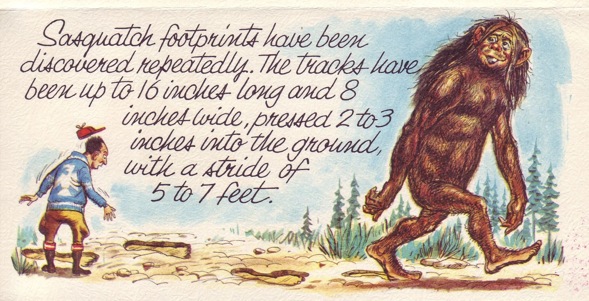 Even postcard publishers got into the act with this series of caricatures depicting Sasquatch in various acts.