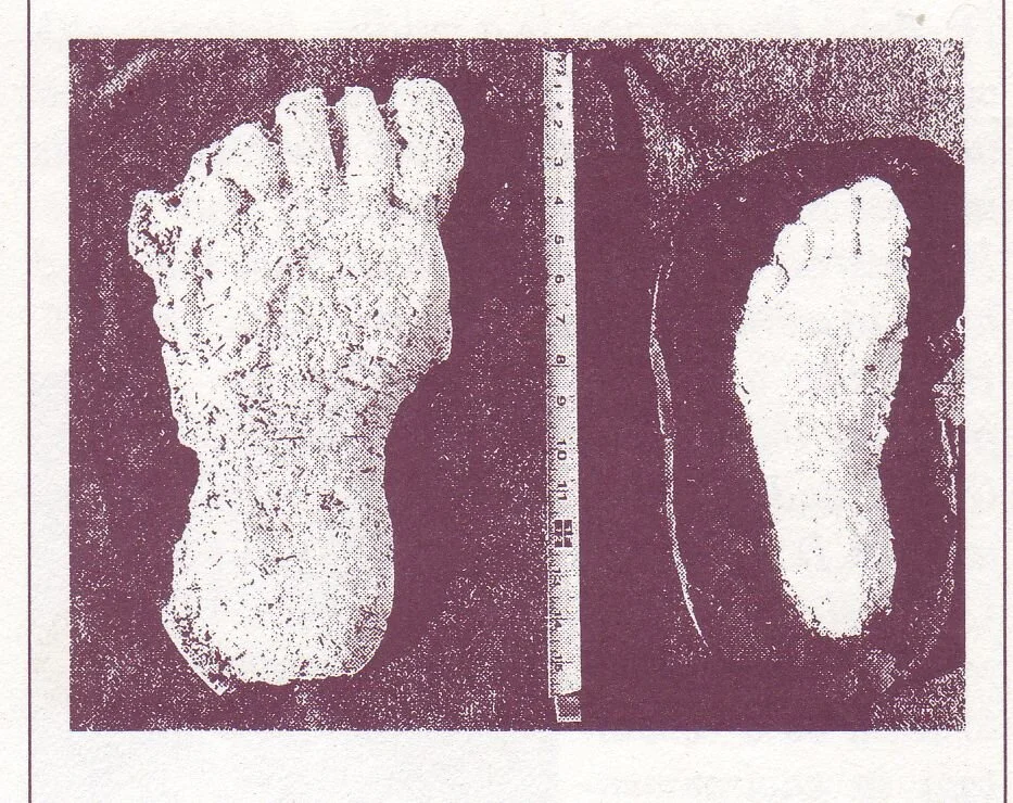 This dramatic photo shows the cast of a 15-inch-long Sasquatch footprint on the left compared to a human footprint on the right. The Sasquatch track was cast by wildlife biologist John A. Bindernagel in Strathcona Provincial Park, B.C., in October 1…