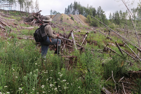 This is the view taken a few years ago from just above the ore pens shown in the right background of the preceding archival photo. Jennifer is looking towards the east at what appears to be a massive anthill. It’s the ore pile from the competing Tye…