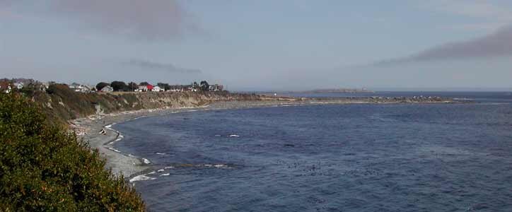A sweeping view of the Dallas Road waterfront, looking towards Clover Point. --Photo courtesy of Janis Ringuette, author of a history of Beacon Hill Park.