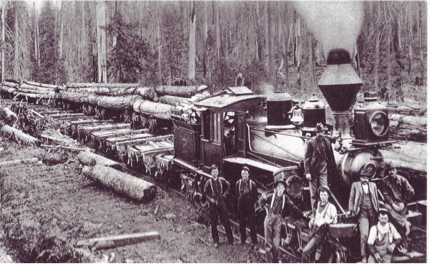 I bet you I’ve walked over the spot on the old railway grade where the No. 2 was photographed with this load of logs.