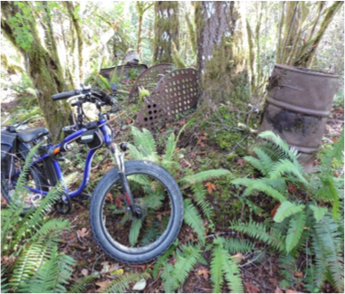 Fellow bushwhacker Andrew Wahlgrave sent this photo of old iron beside the Cowichan Valley Trail in the Paldi area.
