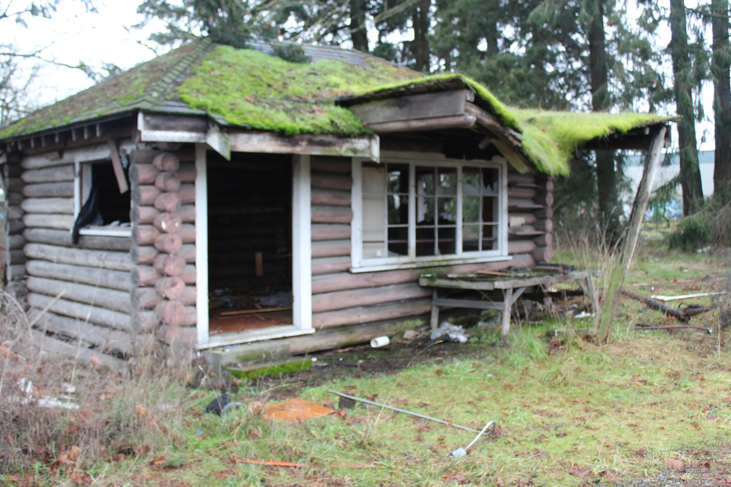 cabin.jpg