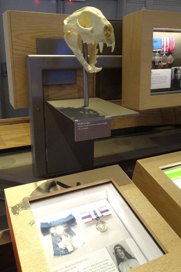 The Doreen Ashburnham exhibit with the eye-catching skull of a cougar.  —Photo courtesy Alison Irwin