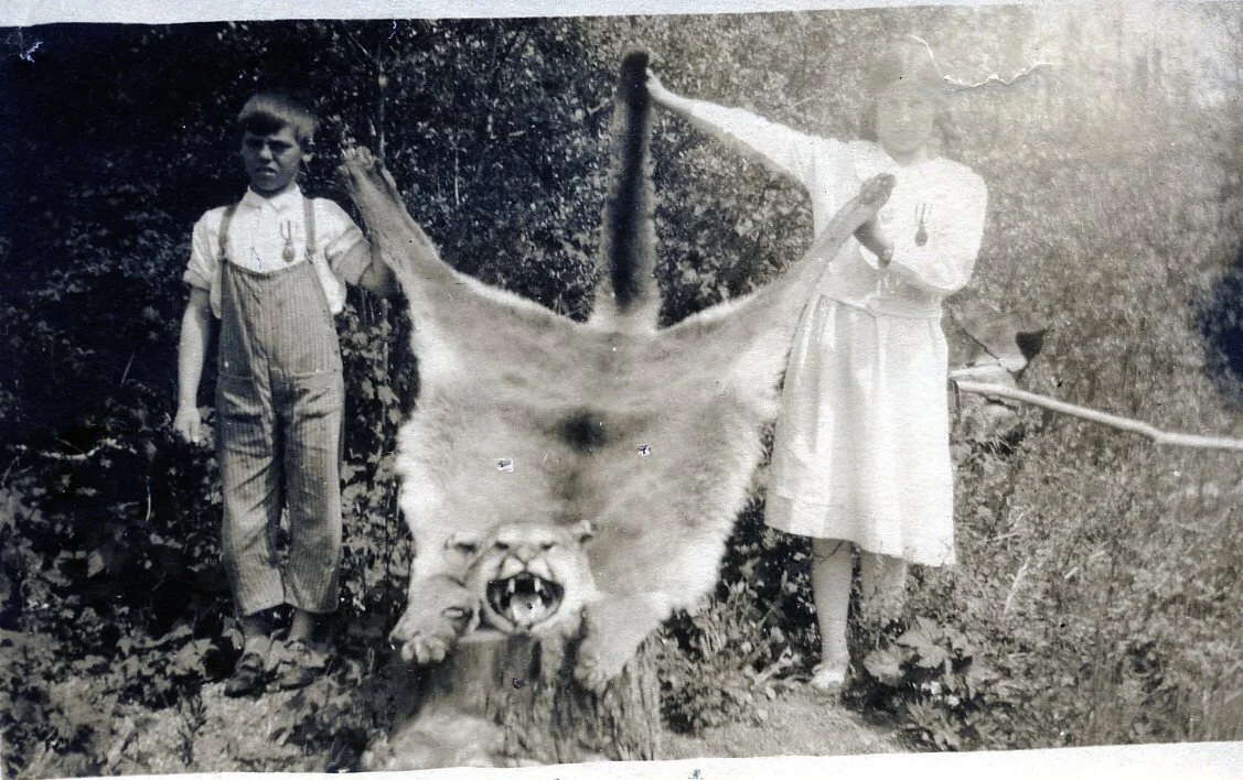 Tony and Doreen pose with cougar pelt before it was stuffed and, presumably, mounted for display. —Kaatza Museum photo.