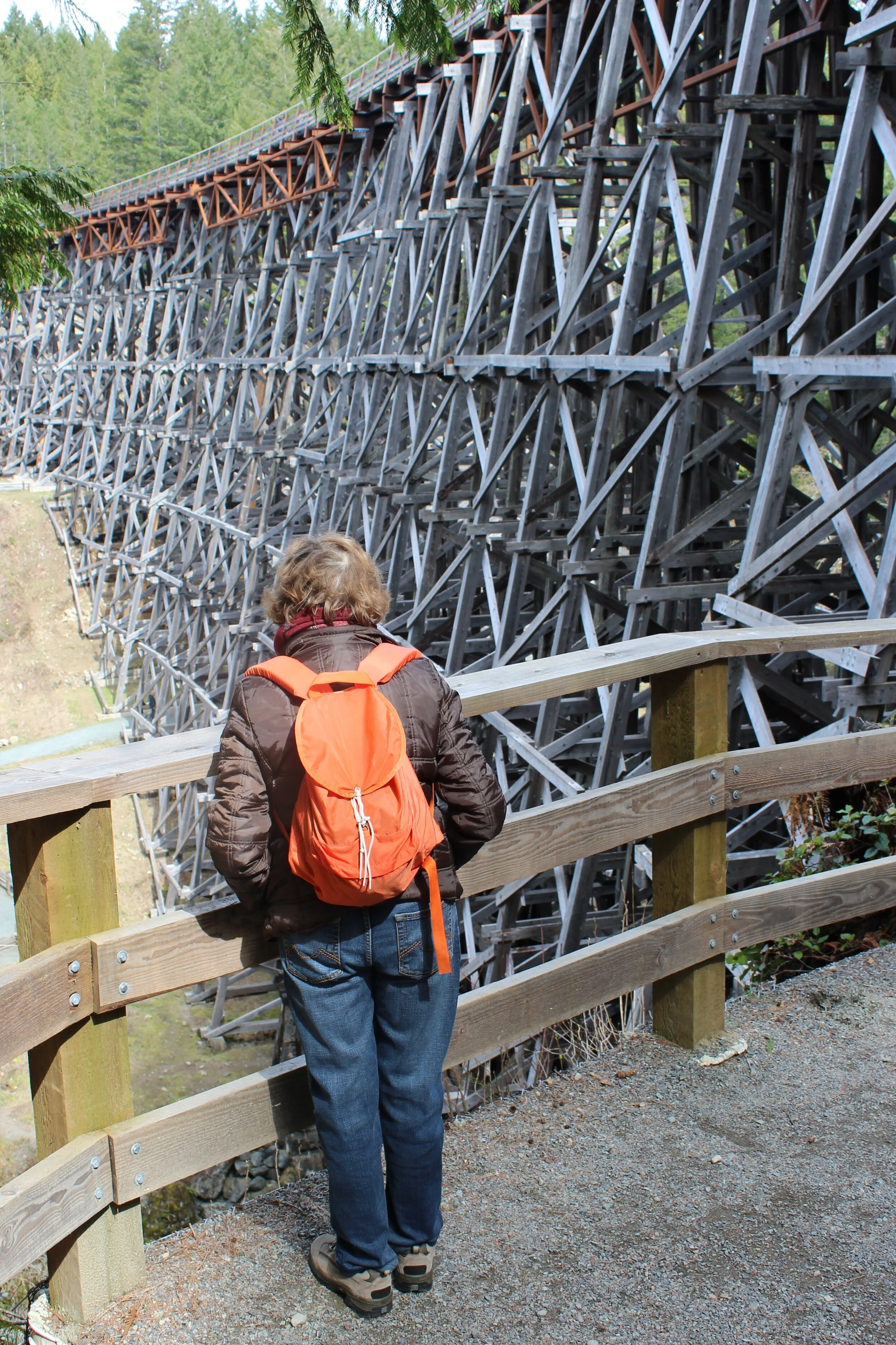 Kinsol Trestle, Jennifer.jpg