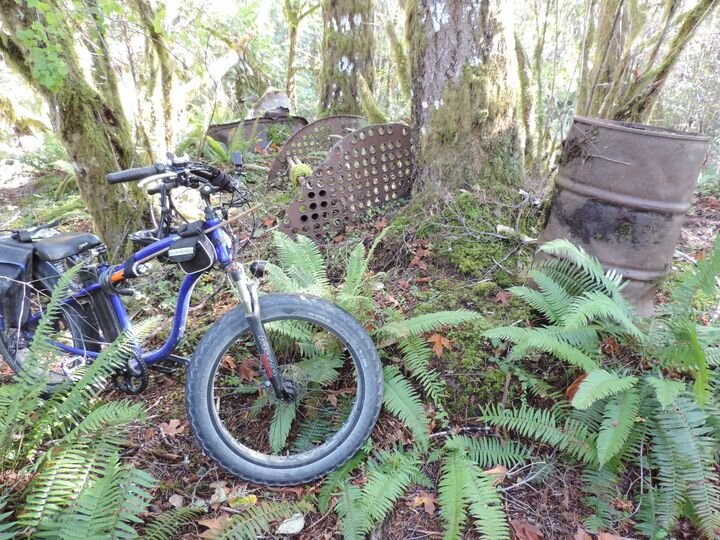 As proof that Jennifer and I aren’t only ones who enjoy exploring our back roads and former railway grades in search of our industrial past, this photo of old railway and logging in the Paldi area is by Andrew Waldegrave.