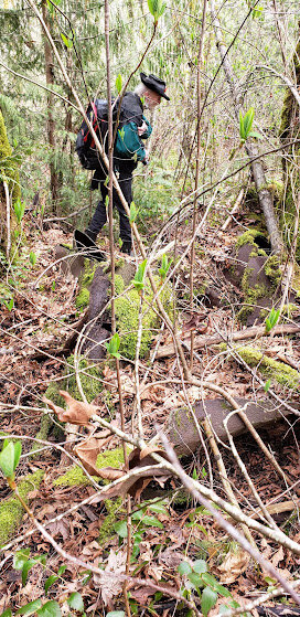 Editorially speaking...