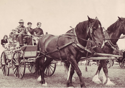 Sooke-stagecoach-CecilClark-photo.png