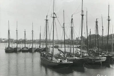 Schooners of the famous sealing fleet tied up in Victoria Harbour. —https://open.library.ubc.ca/collections/fisherman/items/1.0013304