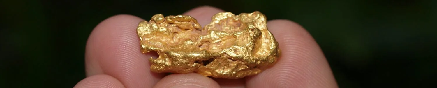 A Fraser River gold nugget; they’re still being recovered after 160 years. x—https://howtofindgoldnuggets.com/