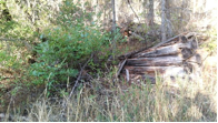This photo of what’s thought to be the remains of Volcanic Brown’s cabin was recently posted on the Boundary Heritage Facebook website.  —https://www.facebook.com/groups/BoundaryHeritage/