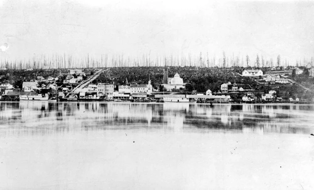 ‘Westminster Horror’