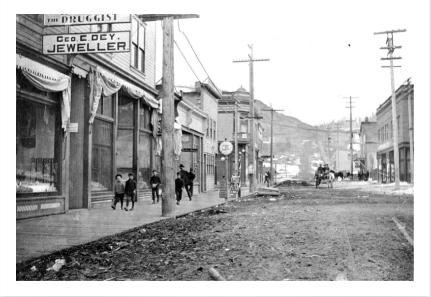 This Phoenix Didn’t Rise From the Ashes