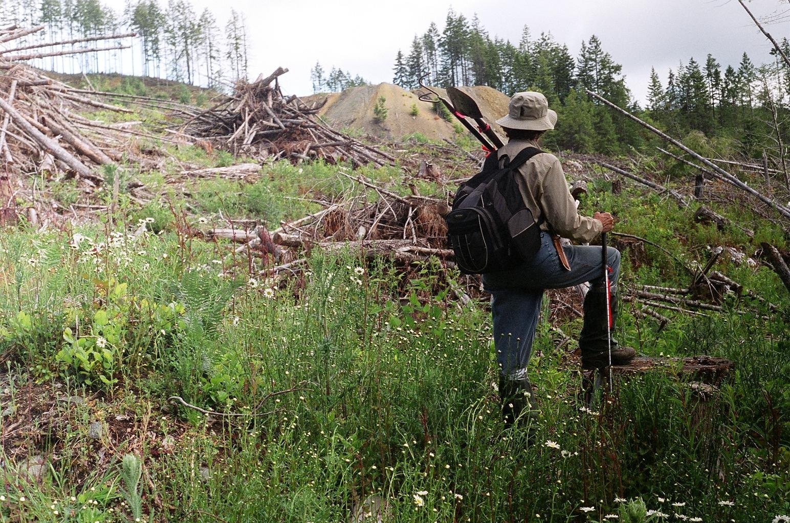 Editorially speaking… 