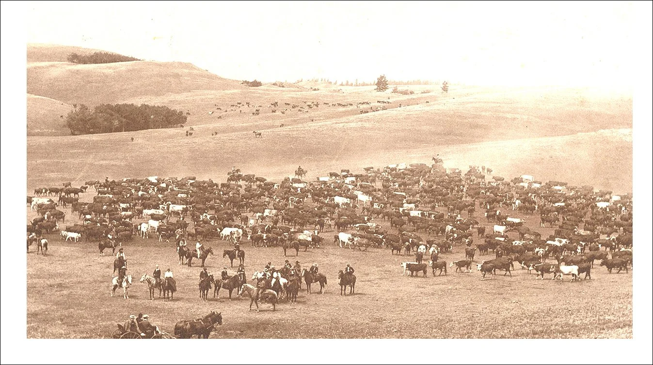 A Murderer’s Love Story