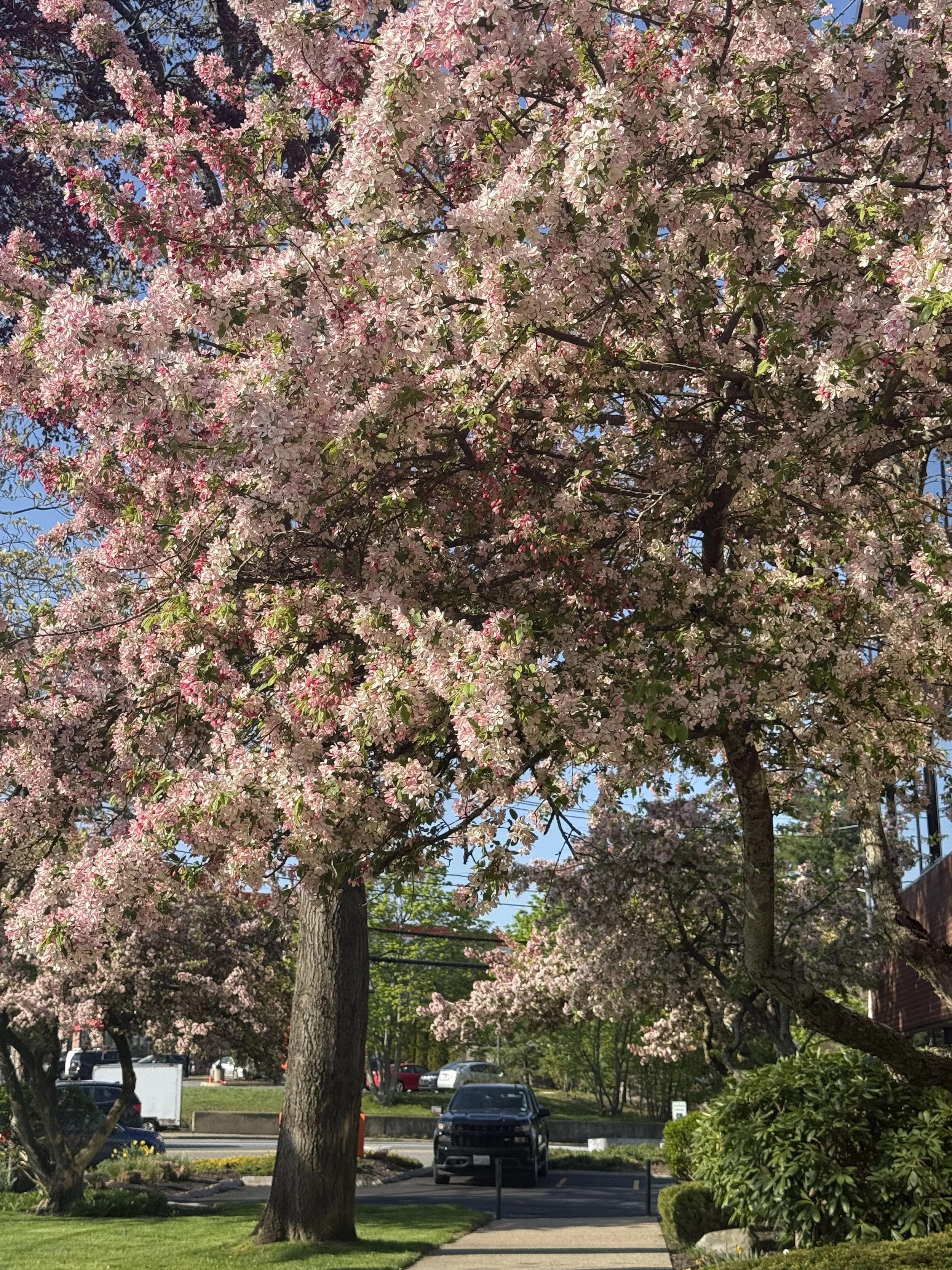 May 2026 Newsletter
