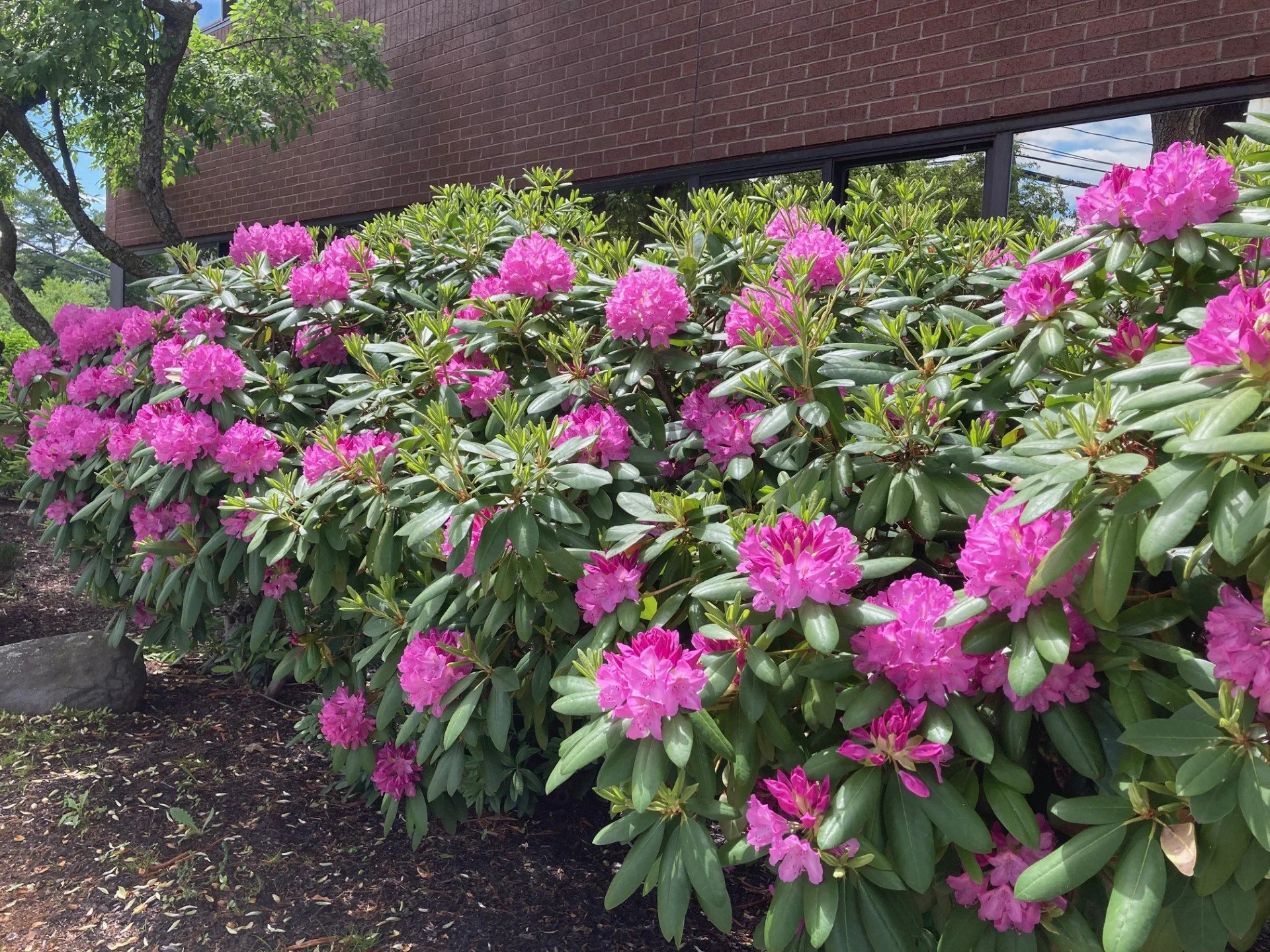 June 2026 Newsletter