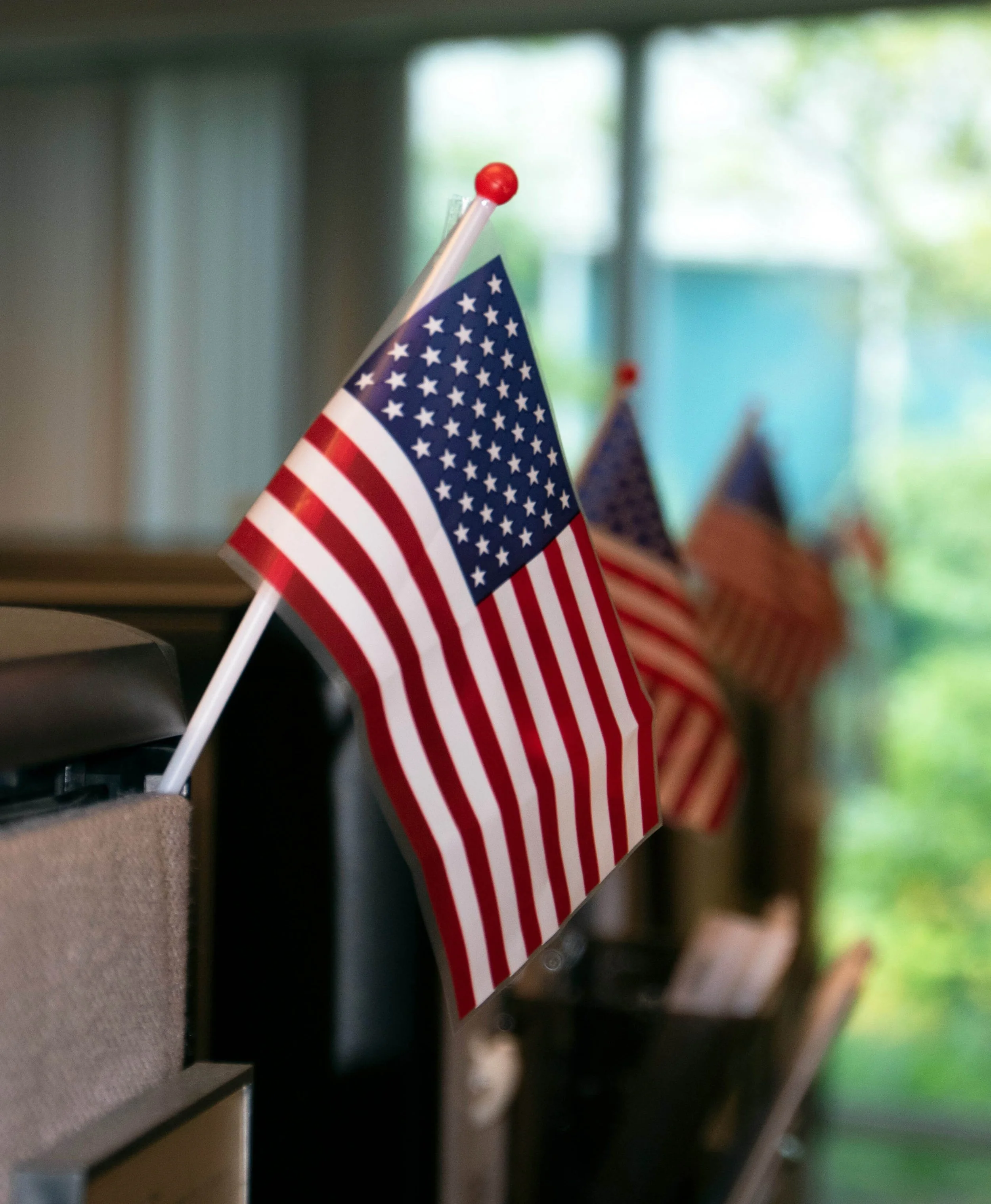 Permanent Resident & U.S. Citizenship image