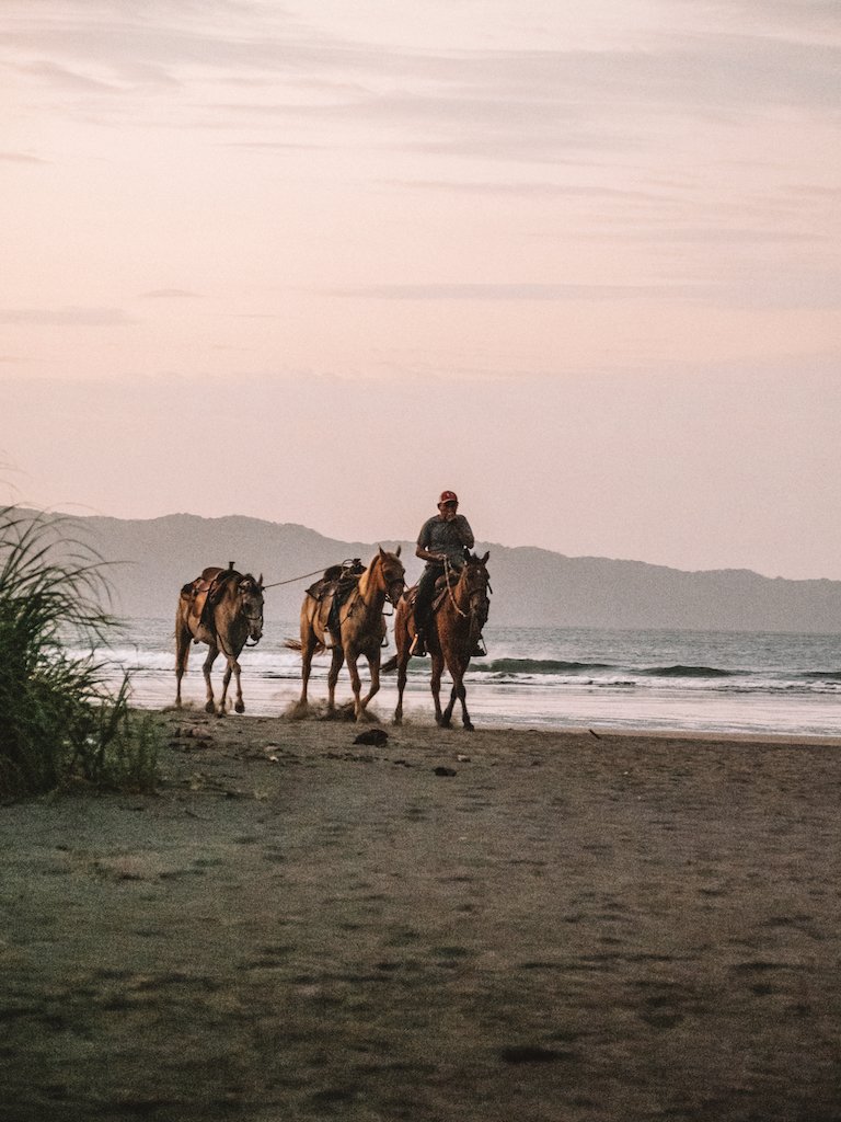 Horses-Sunset-Estero-Beach-Panama-Yoga-and-Surf-Retreat.jpg