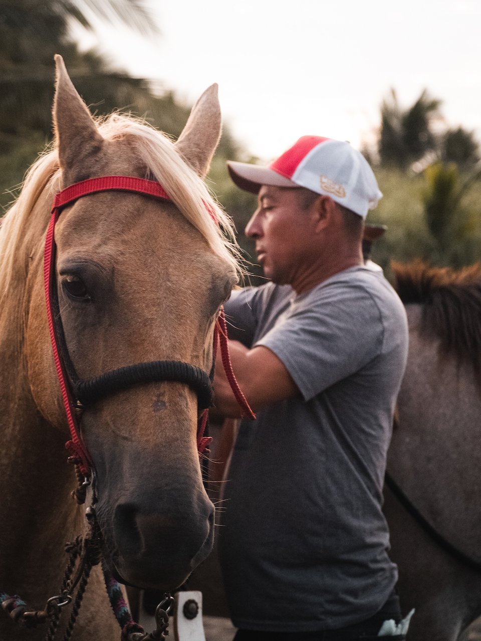 HorseMan with Horse Santa Catalina Panama.jpg