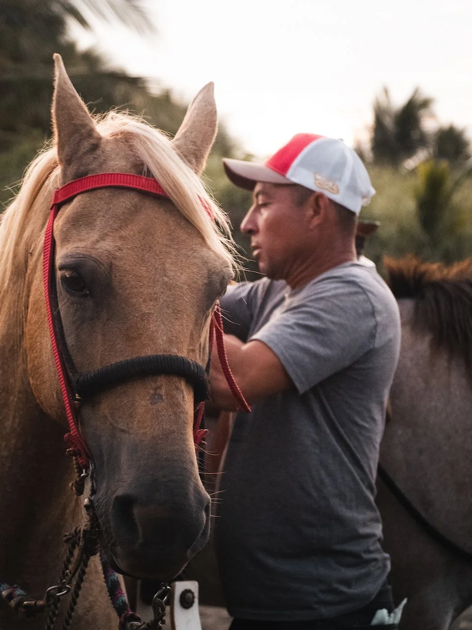 Our Favorite Things to Do in Santa Catalina, Panama 15 HorseMan+with+Horse+Santa+Catalina+Panama