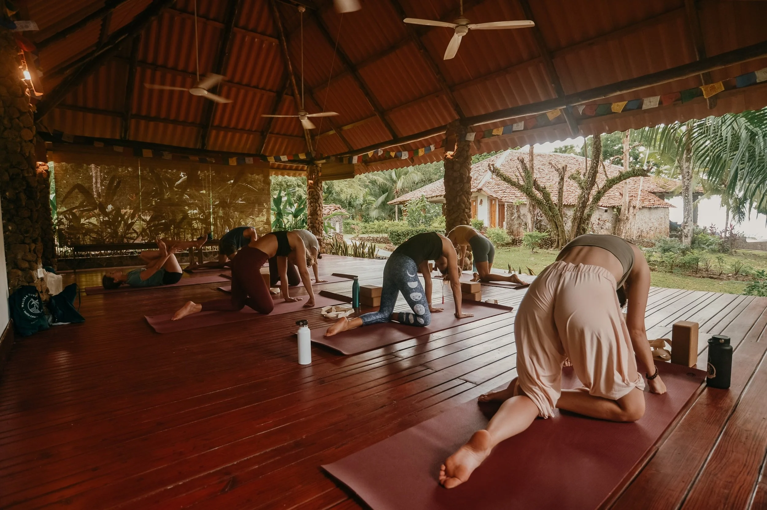 Yoga for Surfers 101: Improve Your Surfing, Strength & Balance 7 yoga group tropical yoga shala