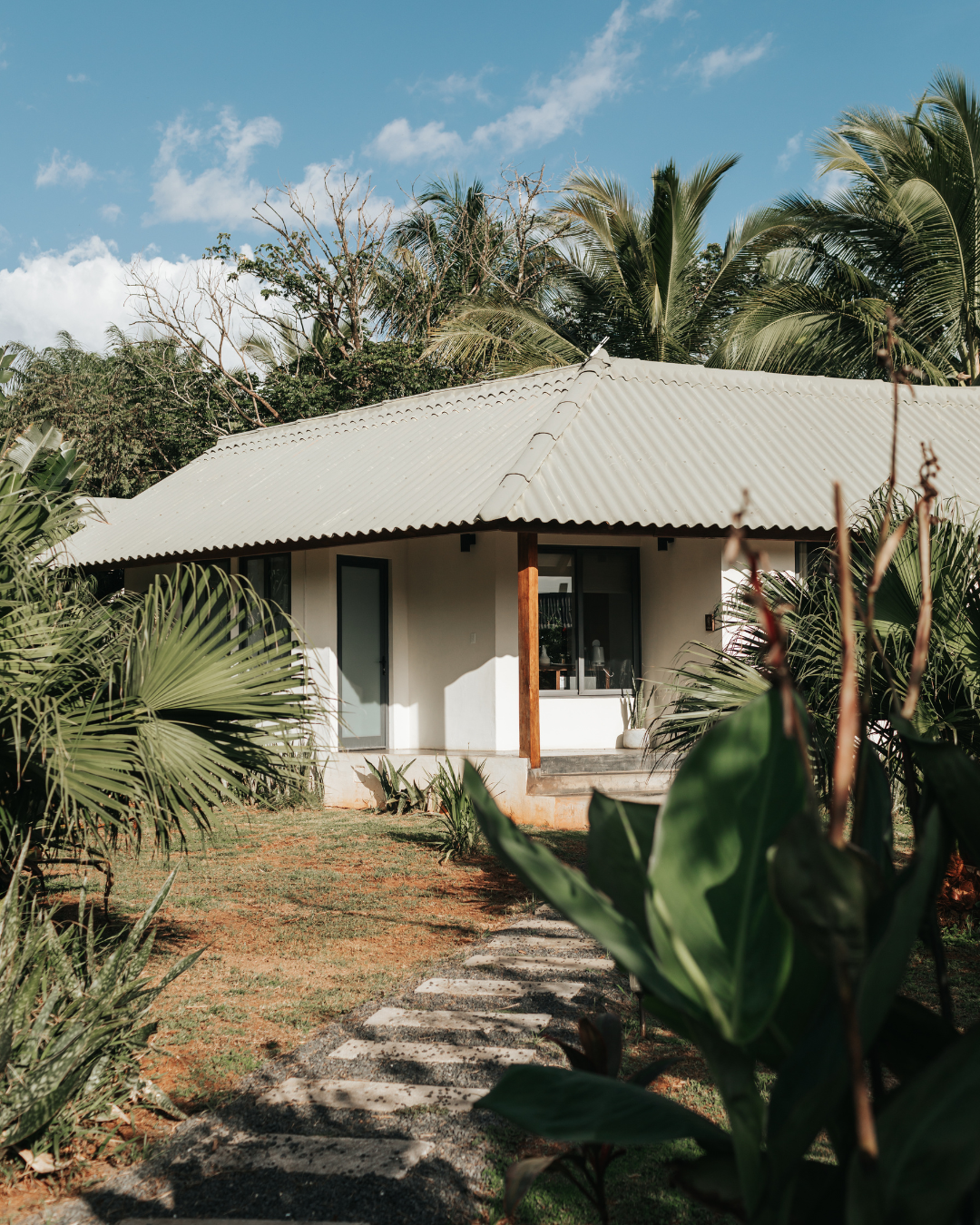 Yoga and Wellness Retreat in Panama: What to Expect at Waluaa’s Beachfront Hideaway Experience 11 5