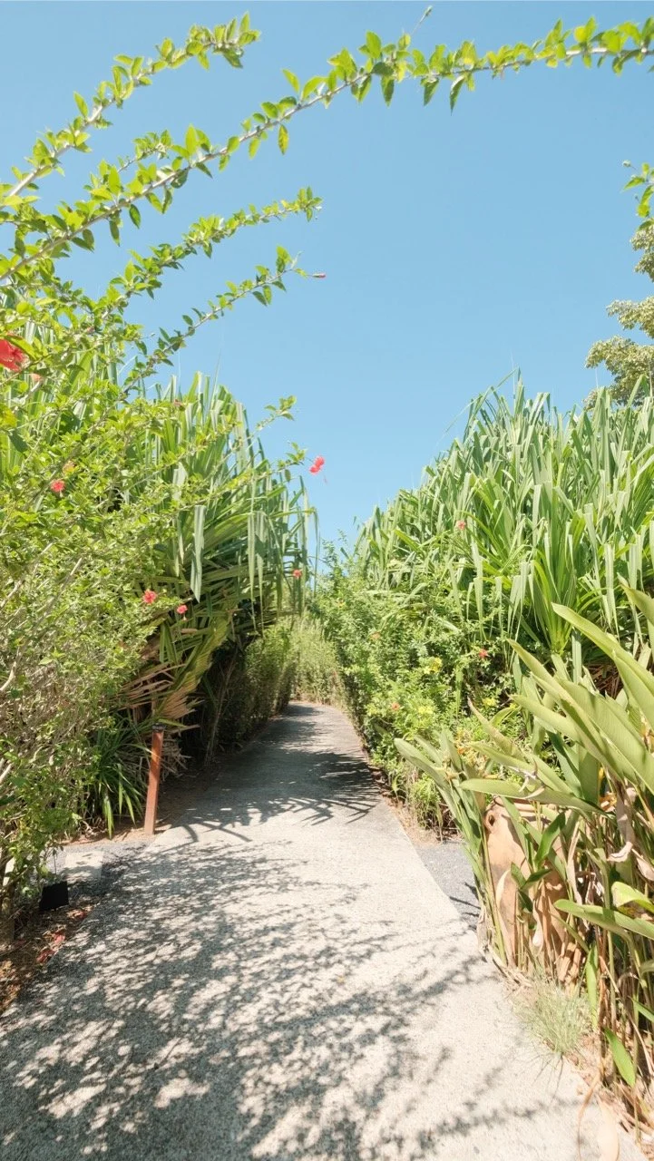 Yoga and Wellness Retreat in Panama: What to Expect at Waluaa’s Beachfront Hideaway Experience 3 WALUAA RETREAT WEEK1 CATALINA HIDEAWAY63+Large