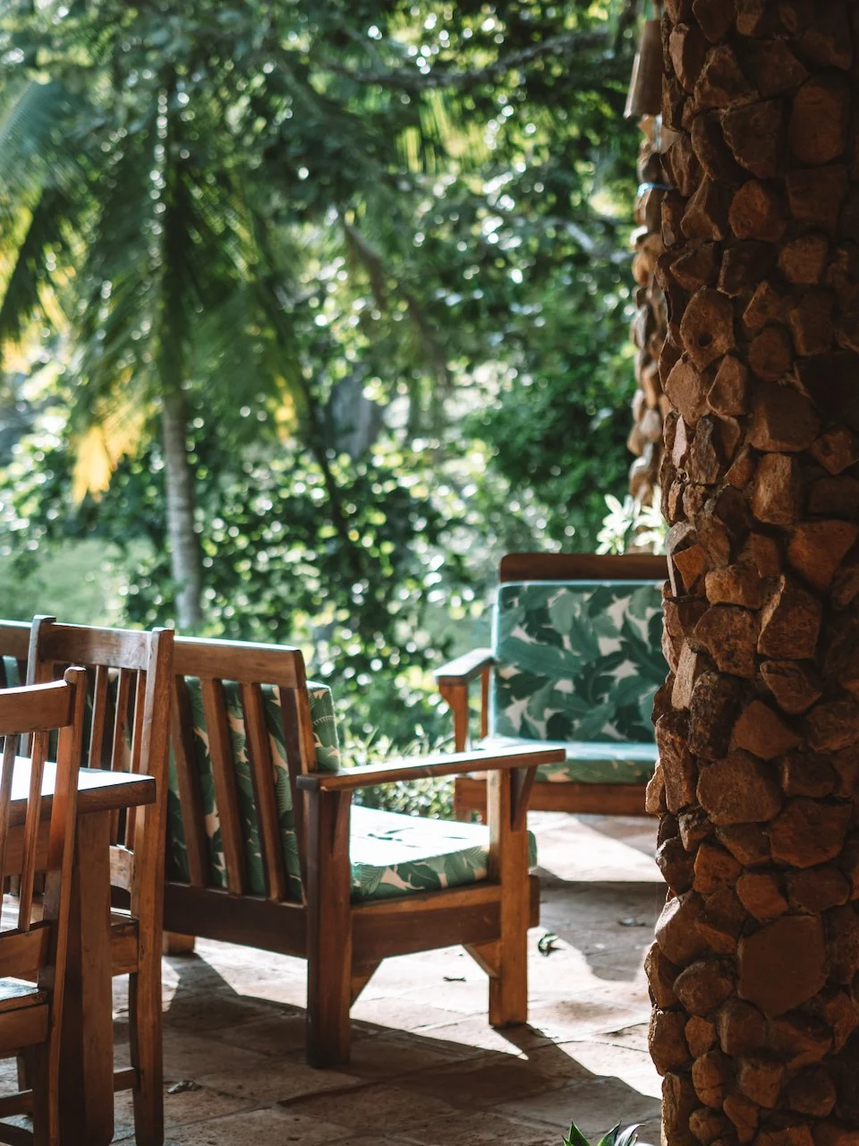 palm trees and sofas santa catalina surf camp.jpg