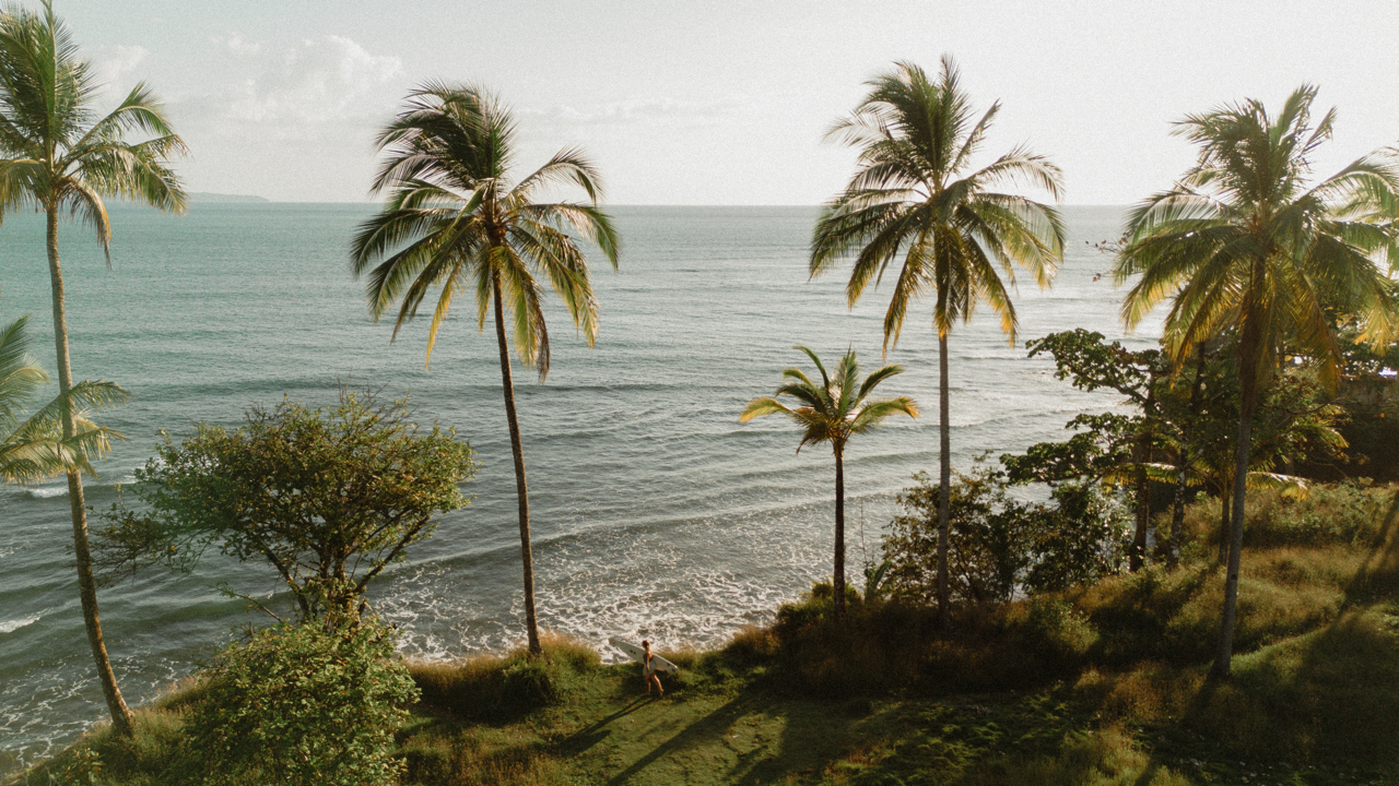 Is Panama Safe? What You Need to Know for Visiting the Pacific Coast 3 is panama safe palm santa catalina