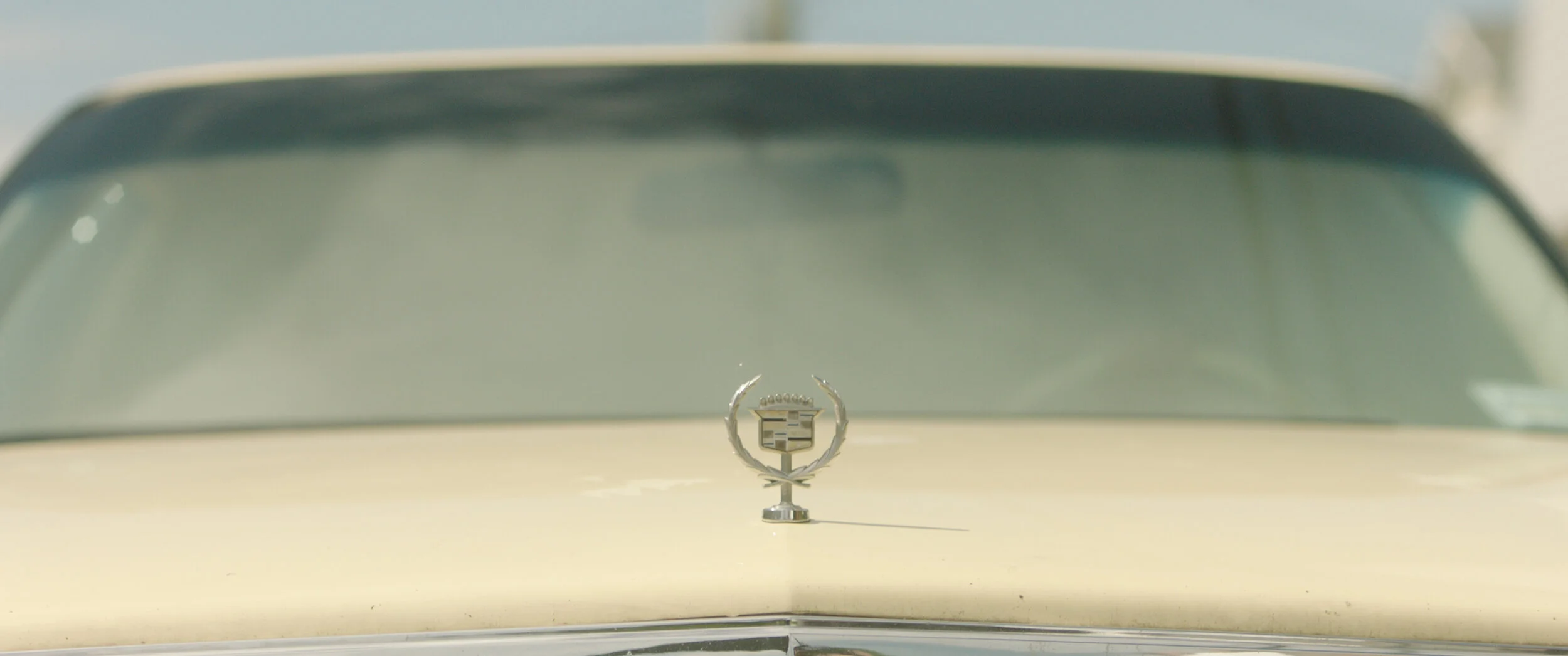 ON SITE .00_42_16_04.Still001.jpg