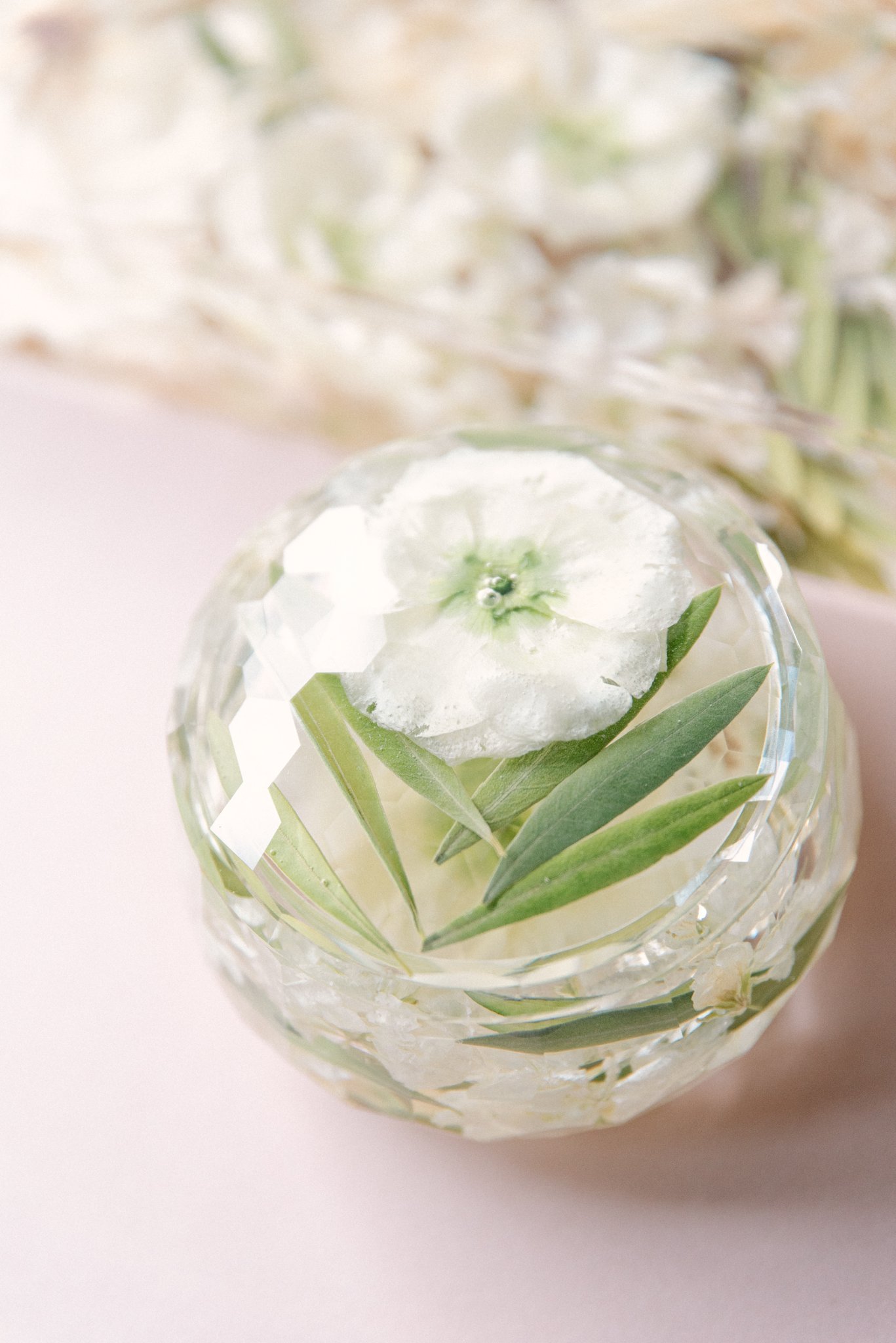 Brit-Jaye-Floral-Preservations-October-2024-34.jpg