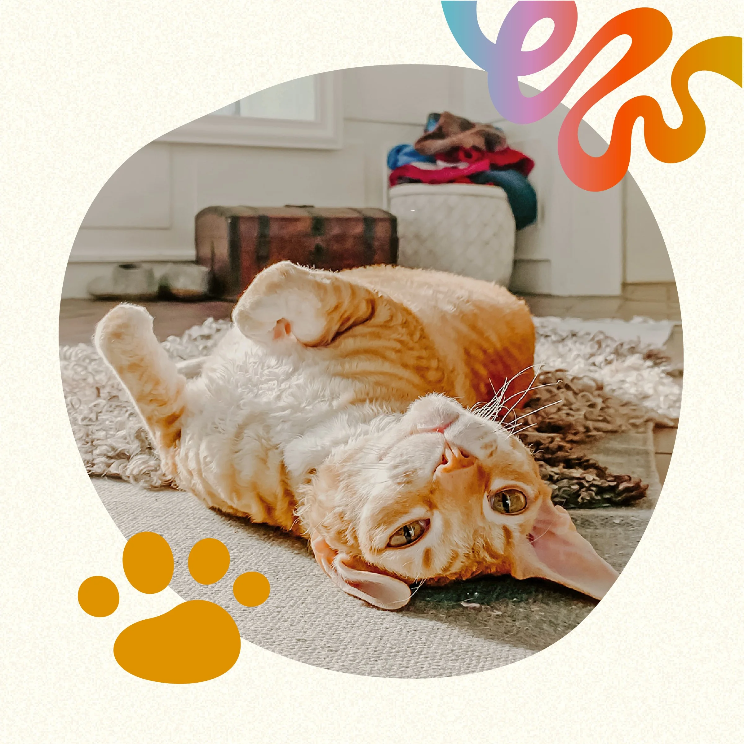 Social Media Templates-03.jpg