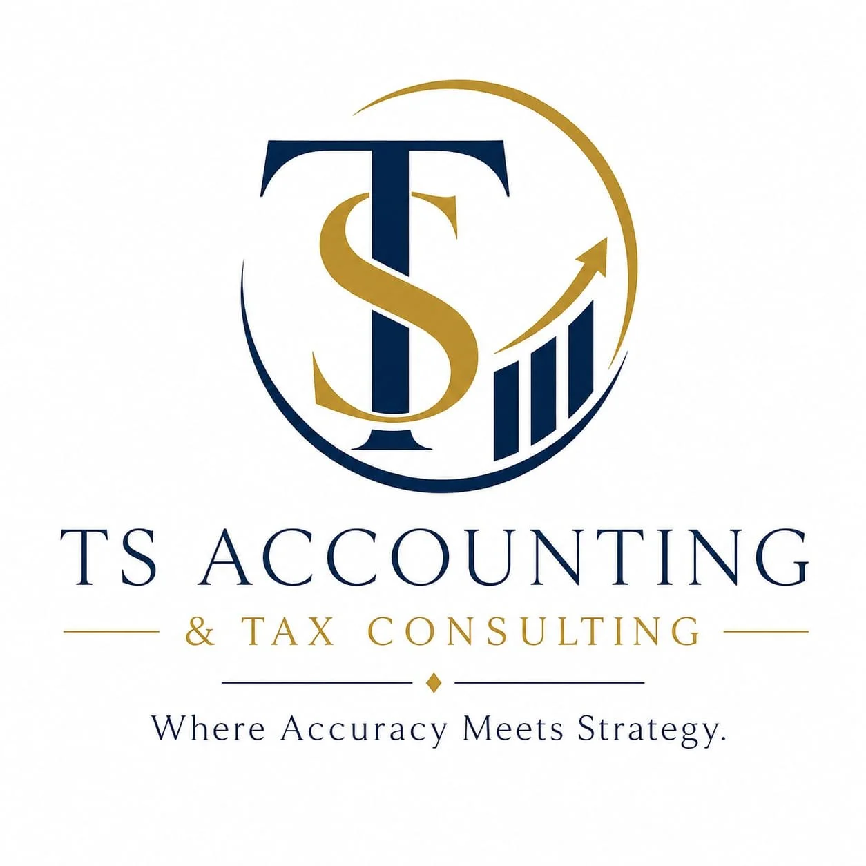 TS Accountant