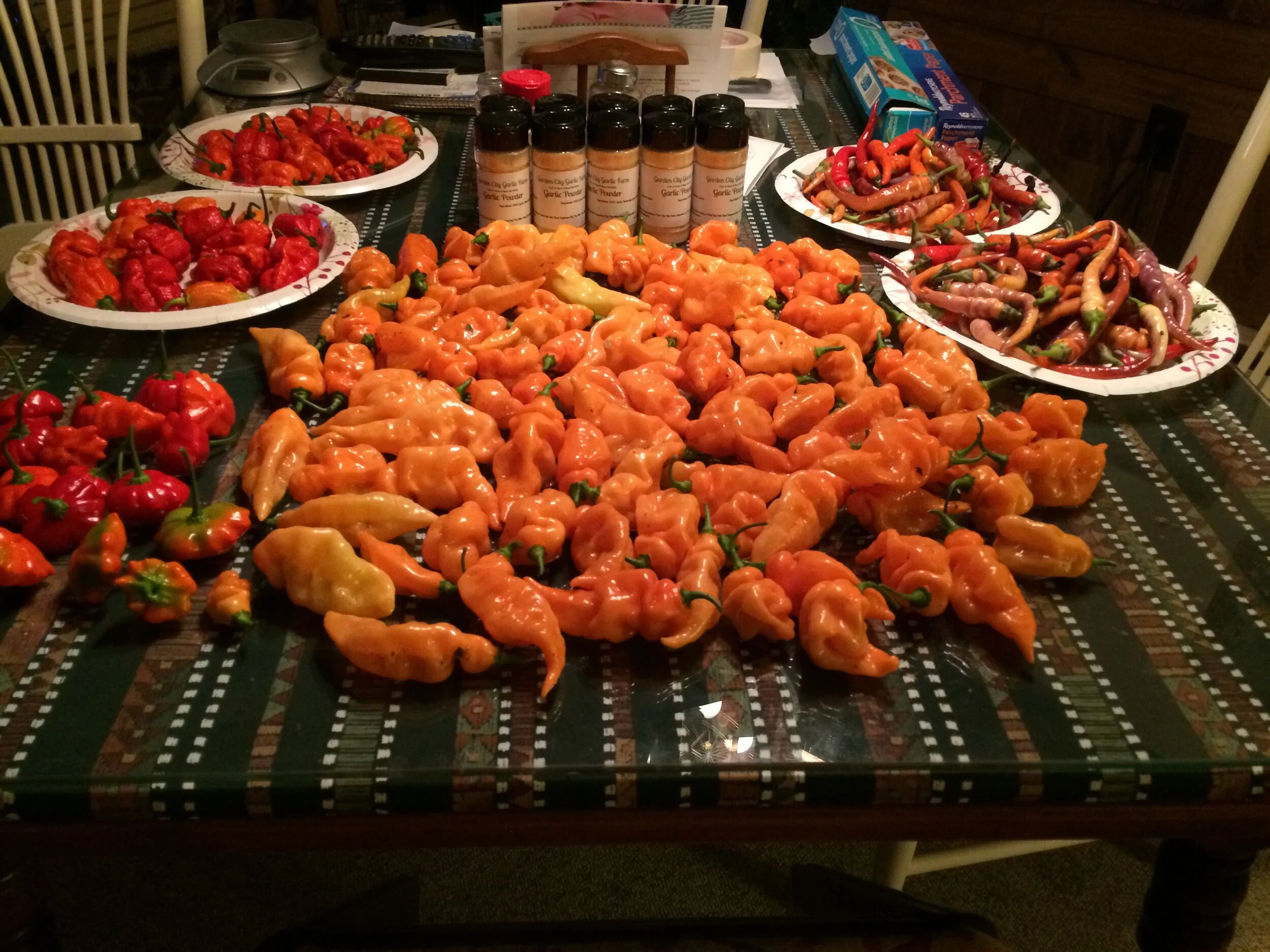 Gallery — Garden City Garlic