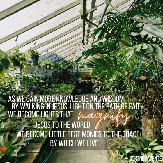 The Light on Our Path of Righteousness