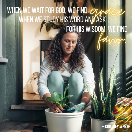 Watching and Waiting for Wisdom