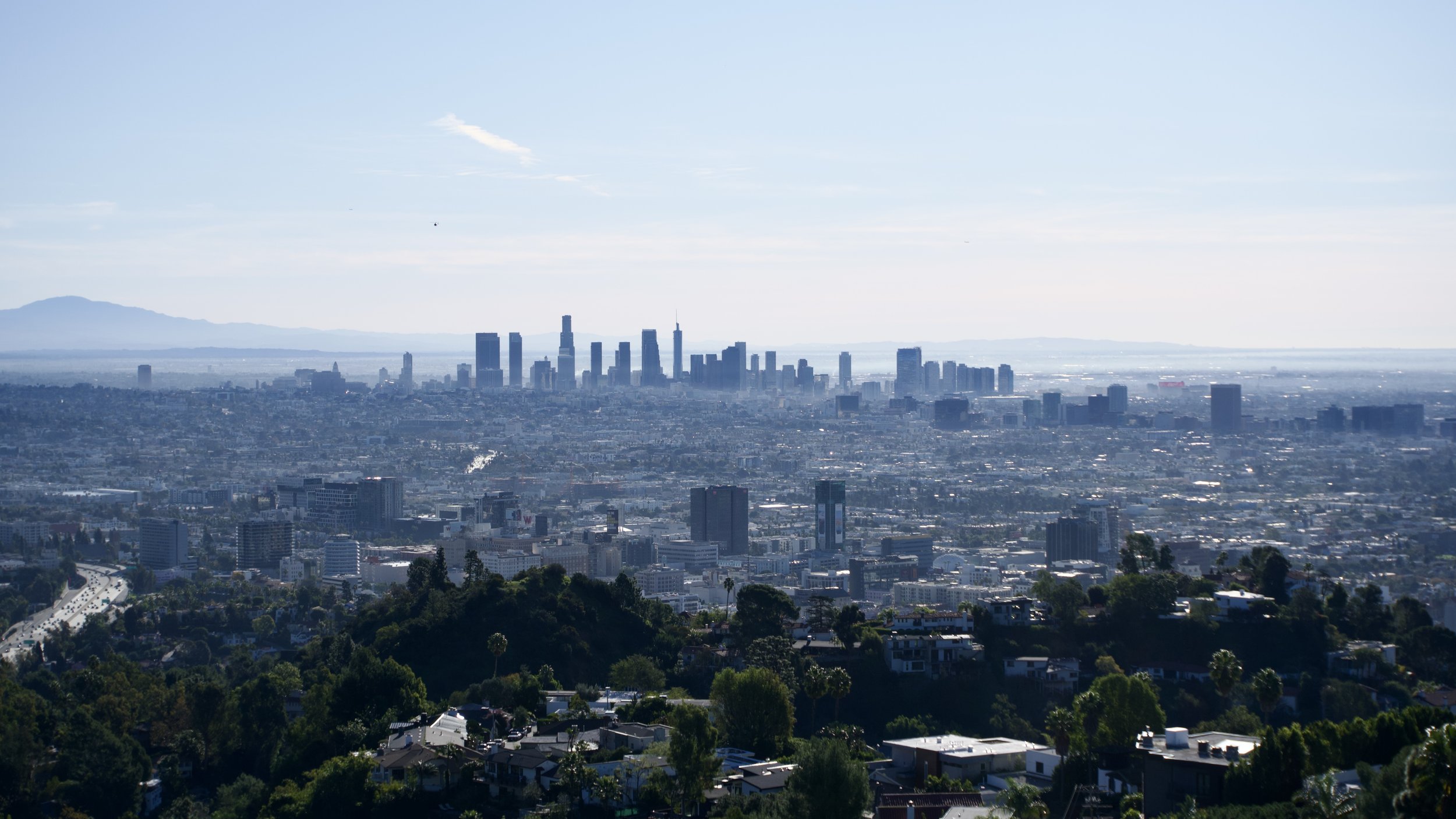 A panoramic view of downtown Los Angeles seen from a hillside with lush green trees and residential homes in the foreground, tall skyscrapers in the city center, and mountains in the distance under a clear blue sky.
