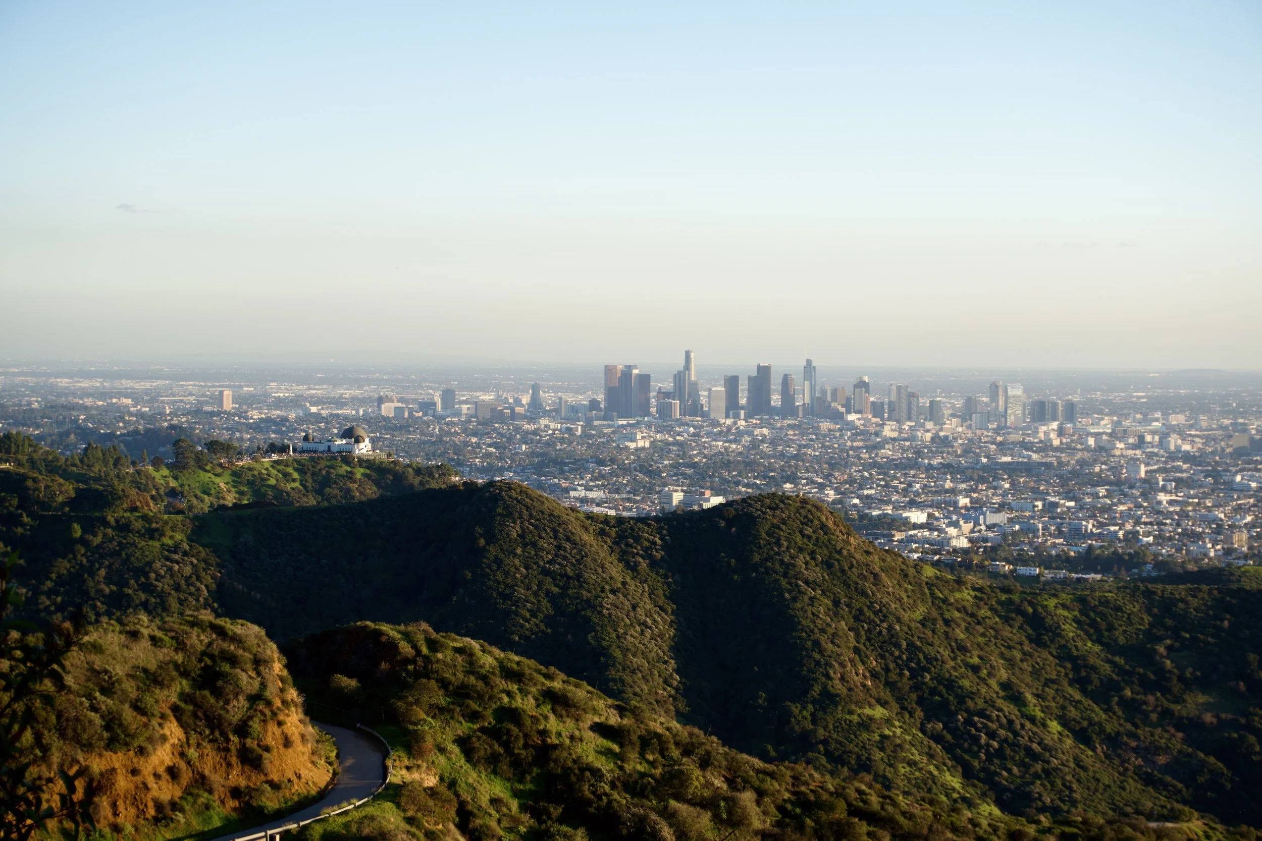 City skyline viewed from a hillside with lush green vegetation and winding road in the foreground, under a clear sky.