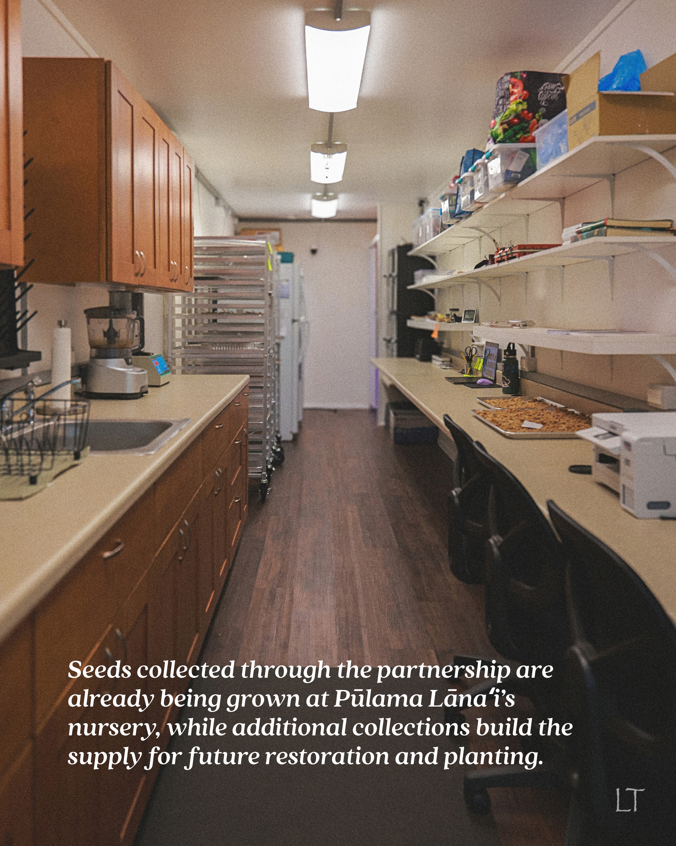 9.png