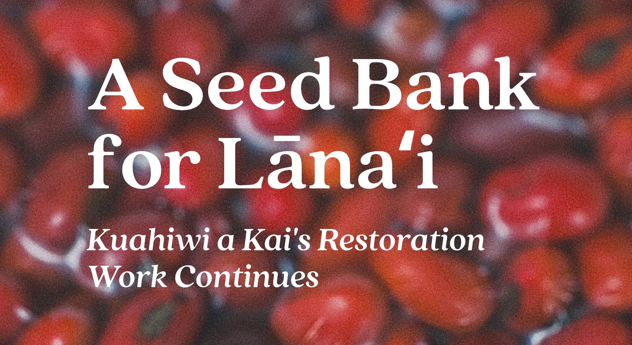 A Seed Bank for Lānaʻi: Kuahiwi a Kai’s Restoration Work Continues&nbsp;
