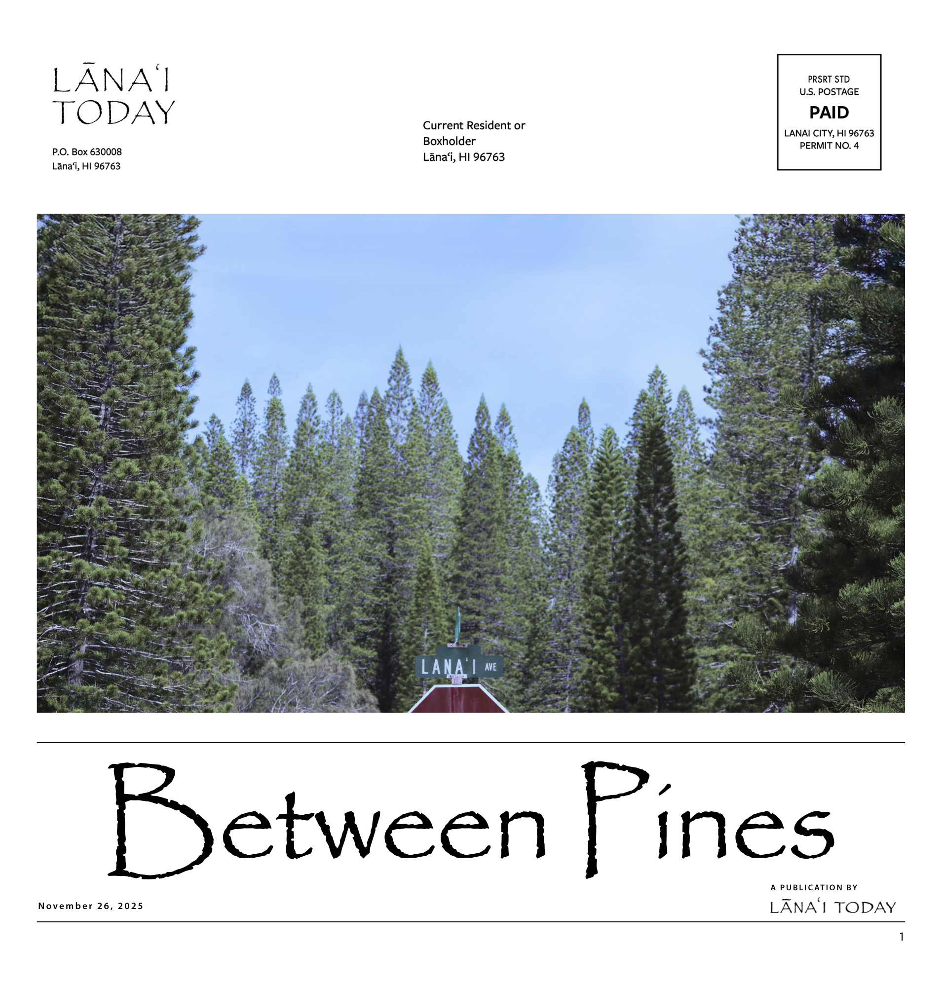 Between Pines — Lanai Today