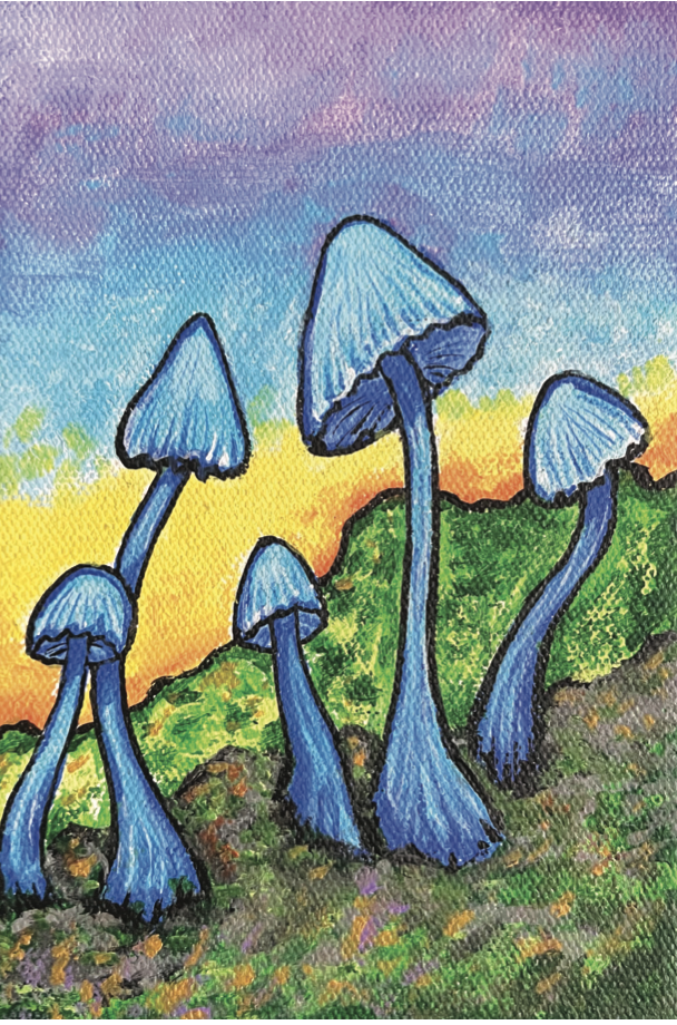 shrm blue shrooms at sunrise.png